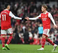 尼斯足球俱乐部 尼斯足球俱乐部